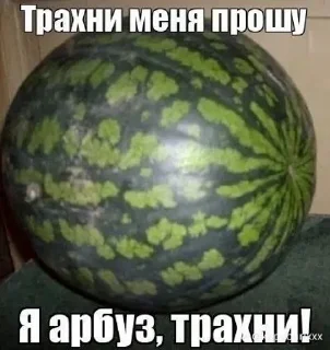 Sticker from парень ты еблан