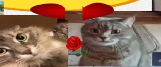 ❤️ emoji арстани смешная Telegram sticker 13 of 19