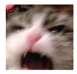 🤬 emoji ☆i love cats☆ Telegram sticker 18 of 46