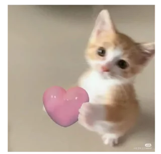 💝 emoji ☆i love cats☆ Telegram sticker 6 of 46