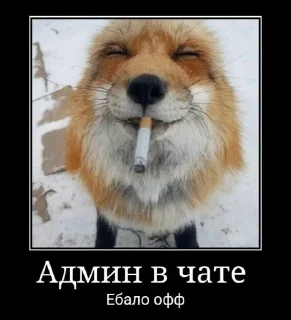 🚬 emoji Tikitok react Telegram sticker 10 of 106