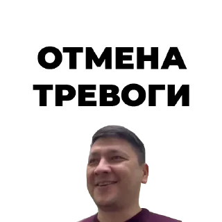 🟢 emoji Ким Telegram sticker 21 of 49