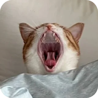 🛏 emoji @StickerEdit_bot :: @StickerEdit Telegram sticker 17 of 92