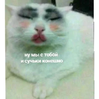 😋 emoji лизочка лавки Telegram sticker 9 of 41