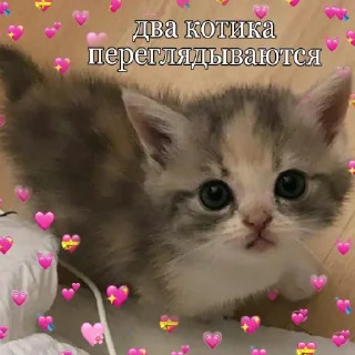 ❤️ emoji лизочка лавки Telegram sticker 23 of 41