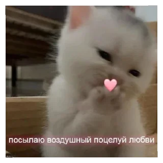 ❤️ emoji лизочка лавки Telegram sticker 11 of 41