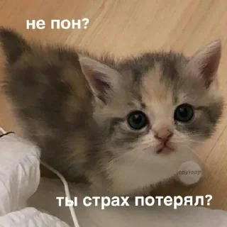 😡 emoji лизочка лавки Telegram sticker 18 of 41