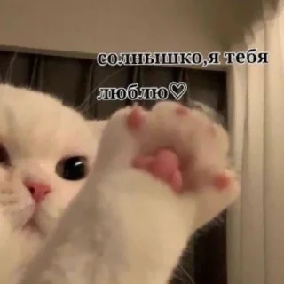 ❤️ emoji лизочка лавки Telegram sticker 14 of 41
