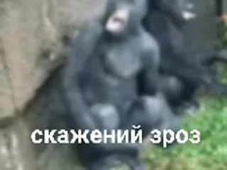😤 emoji зроз Telegram sticker 12 of 50