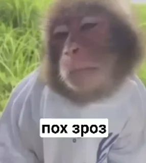 😒 emoji зроз Telegram sticker 6 of 50