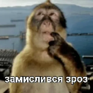 🤔 emoji зроз Telegram sticker 16 of 50