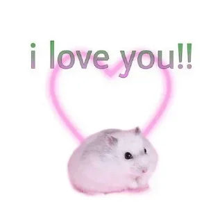 🤭 emoji ⁺ִ𝕙𝕒𝕞𝕤𝕥𝕖𝕣𝕤 @hehe_helen༉ Telegram sticker 8 of 47