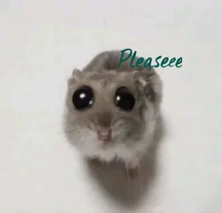 Sticker from pions & eli hamster