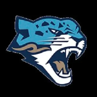 🌟 emoji Jas Hockey Ligasy Telegram sticker 11 of 12