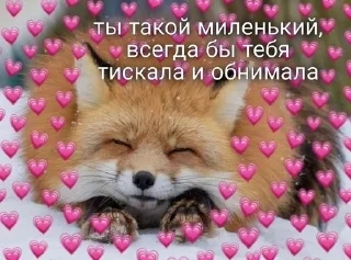 🌟 emoji милые пикчи Telegram sticker 9 of 21