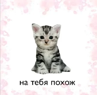 🌟 emoji пикчи!! Telegram sticker 19 of 40
