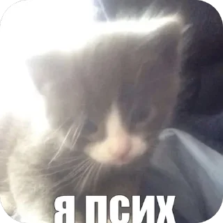 Sticker from Китики и не только