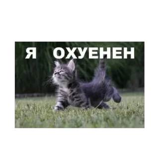 🫥 emoji Китики и не только Telegram sticker 22 of 120