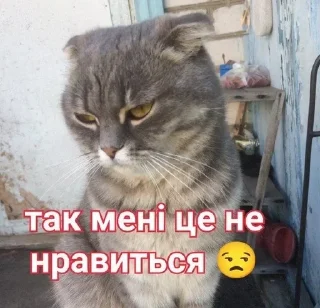 😒 emoji Рисік Telegram sticker 6 of 80