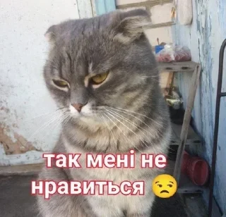 😒 emoji Рисік Telegram sticker 7 of 80