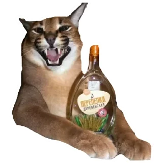 💚 emoji Шлёпа 3 Telegram sticker 7 of 25