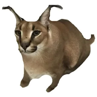 Sticker from Шлёпа 3