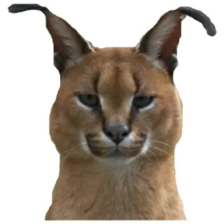 💚 emoji Шлёпа 3 Telegram sticker 23 of 25