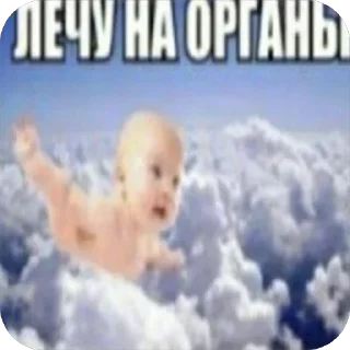 🌟 emoji Твари мрази проститутки😱 Telegram sticker 16 of 46