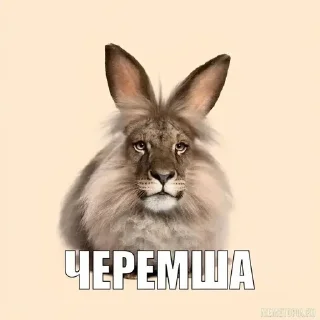 Sticker from Рандомные мемы