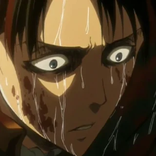 Sticker from Levi Ackerman