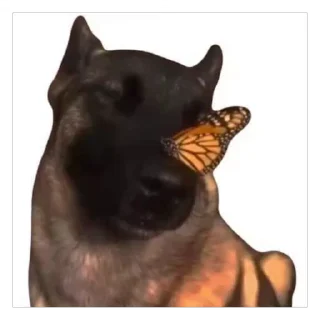 🦋 emoji BinGo Telegram sticker 15 of 74