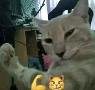 💪 emoji вайбер Telegram sticker 2 of 77