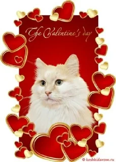 Sticker from Кошак