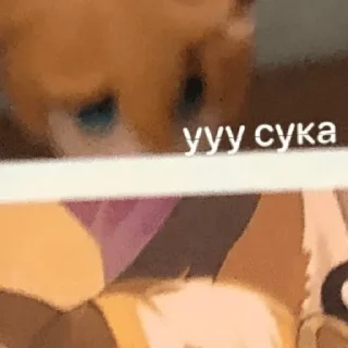 😡 emoji блять не воруйте Telegram sticker 14 of 42