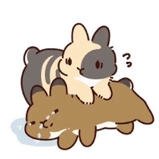 😥 emoji ˚✧₊ Rabbits 🐇🐇  ⁎⁺✧༚ Telegram sticker 22 of 59