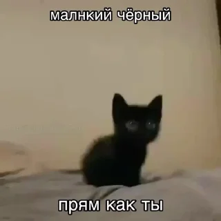 Sticker from Невдупленыши