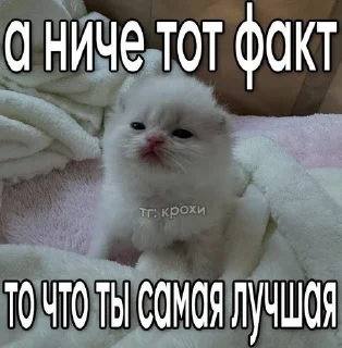 ❤️ emoji Невдупленыши Telegram sticker 14 of 105