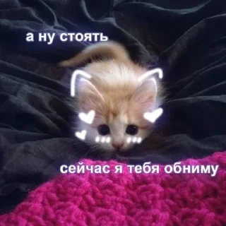 💗 emoji любовь Telegram sticker 23 of 81