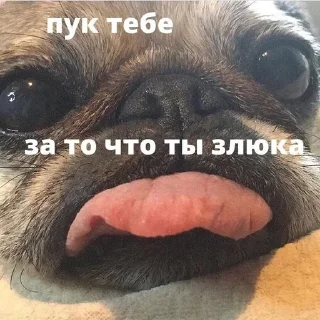 😝 emoji любовь Telegram sticker 9 of 81