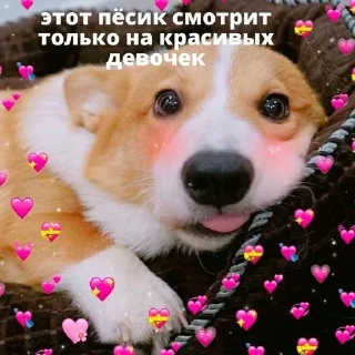 😍 emoji любовь Telegram sticker 21 of 81