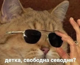 💃 emoji Cats Mood by Agente Telegram sticker 16 of 77