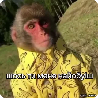 🤨 emoji Мої мавпочки п'ять @Packek @zroz_monkey Telegram sticker 7 of 50