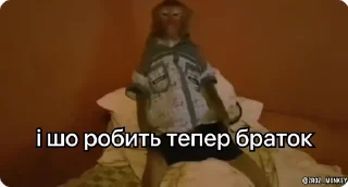 Sticker from Мої мавпочки п'ять @Packek @zroz_monkey
