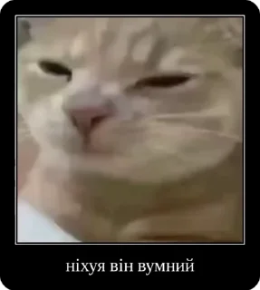 🤓 emoji Колапс модерну @solovyy Telegram sticker 8 of 50