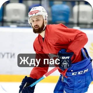 Sticker from Коренев in the heart💚