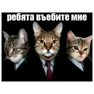 🫥 emoji нихуя себе пиздец Telegram sticker 21 of 40