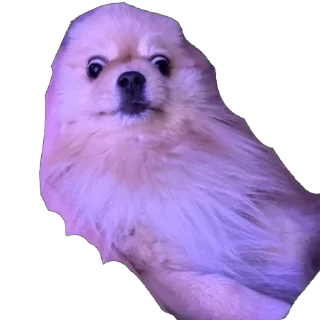 🫥 emoji @kristina.vnbrg Telegram sticker 13 of 24