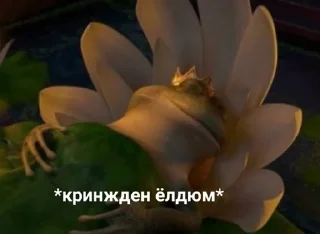 Sticker from вк @karachmemes