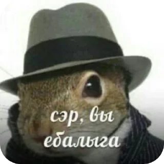 🎩 emoji Мама Люба Давай Telegram sticker 14 of 15
