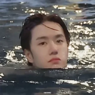 🥺 emoji Wang Yibo 💚 Telegram sticker 22 of 41